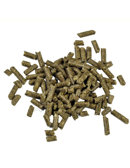 Dr. Bassleer - Biofish Food shrimp sticks Regular 60gr