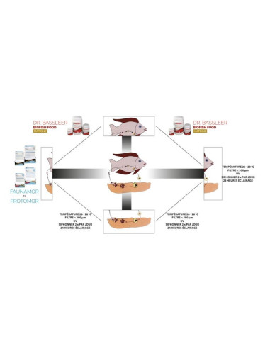 Dr. Bassleer - Biofish Food Matrine M 60gr