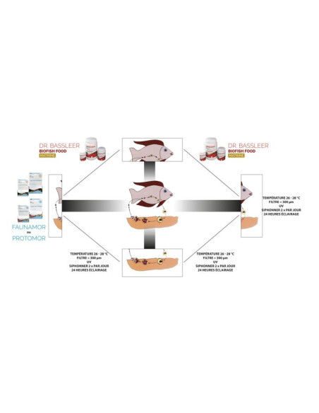 Dr. Bassleer - Biofish Food Matrine M 60gr