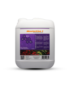 MasterLine - I 5L