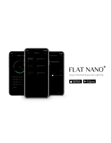 ONF - Flat Nano+ (Black)