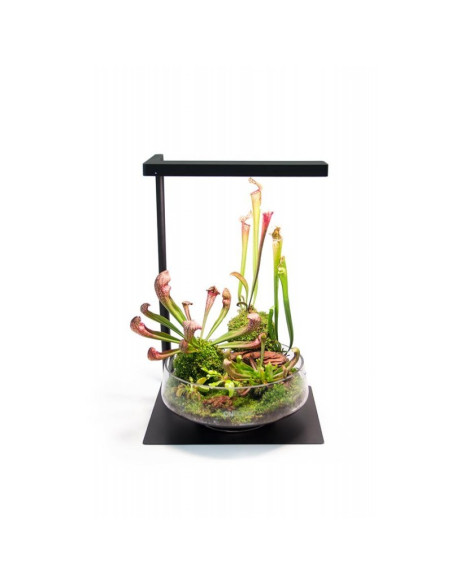 ONF - Stand Flat Nano (Black)
