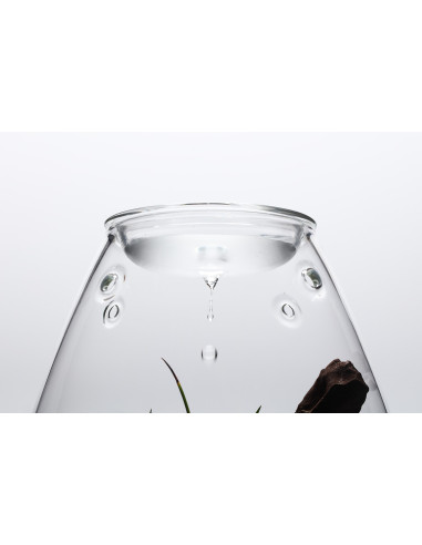 DOOA Glass pot SHIZUKU