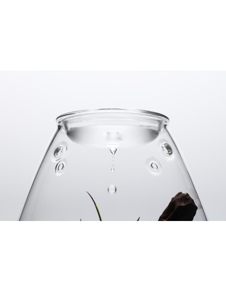 DOOA Glass pot SHIZUKU