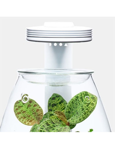 DOOA - Magnet Light G