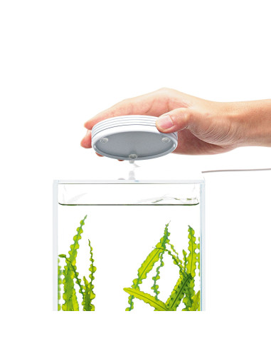 DOOA - Magnet Light G