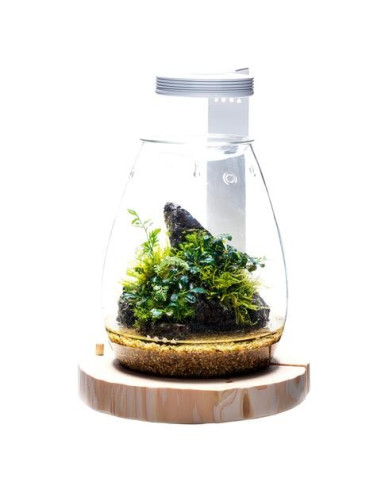 DOOA - Magnet Light G