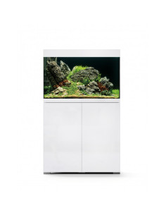 Oase - StyleLine 175 Meuble Blanc 2