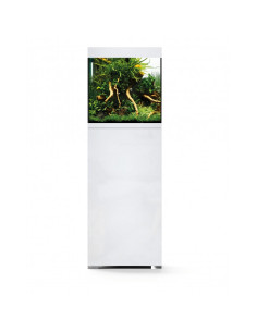 Oase - Styleline 85 Aquarium + Meuble Blanc