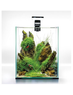 Shrimp Set Smart Day & NIght - 20L Blanc