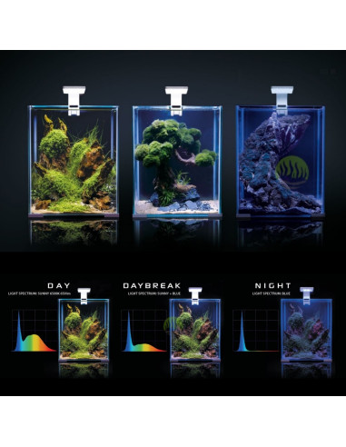 Shrimp Set Smart Day & NIght - 20L Blanc