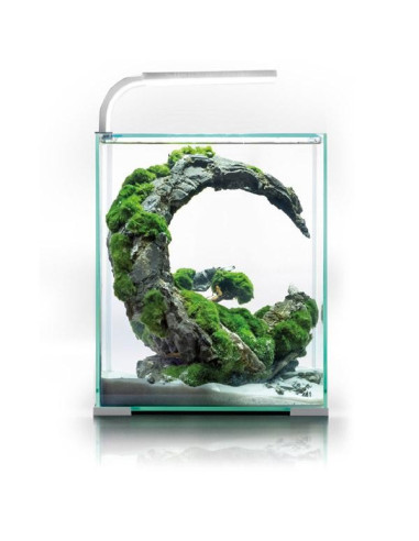 Shrimp Set Smart Day & NIght - 20L Blanc