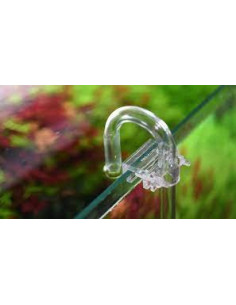 Aquario - Neo Holder 2