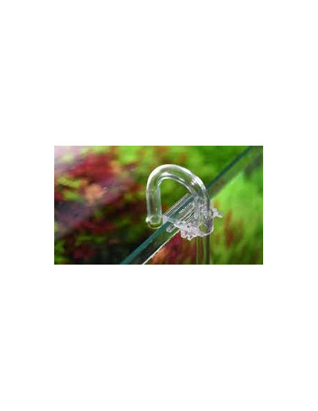 Aquario - Neo Holder