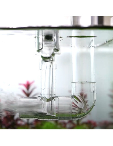 Aquario - Neo Flow Premium M (Ver.2) - 13 mm