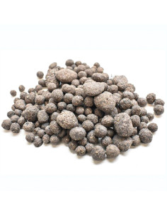 Biohome BioGravel