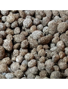 Biohome BioGravel 2
