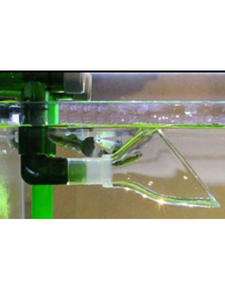 AQL - Embout Acrylique Lily Pipe Outflow LYS