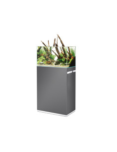 Oase - ScaperLine 60 Set gris 2