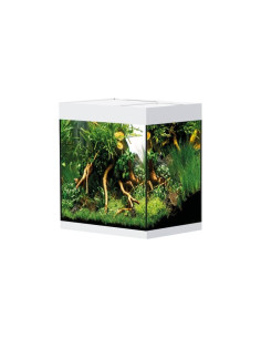 Racine Tree Trunk 20 à 50cm décor aquarium - Materiel-aquatique