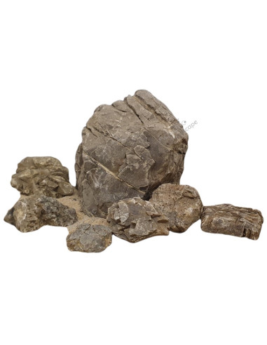Elderly stone (Au kilo)