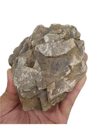 Elderly stone (Au kilo)