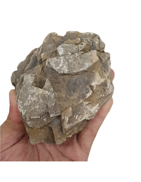 Elderly stone (Au kilo)