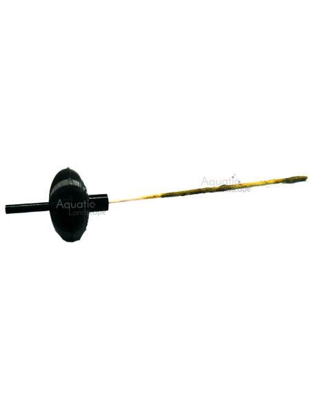 Aquashrimp - Support flottant pour lollies - Noir