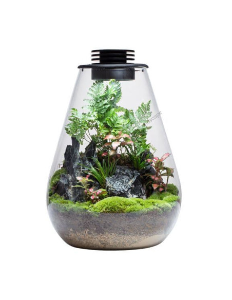 Biolark - Bio bottle SD175