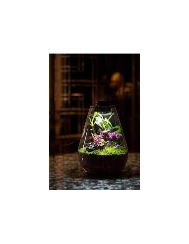 Biolark - Bio bottle SD175