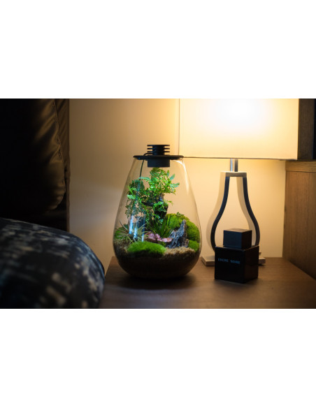 Biolark - Bio bottle SD175