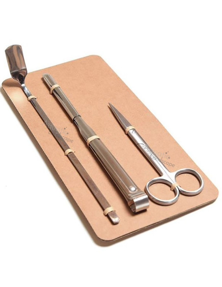 ONF - Moss Micro Landscape Set