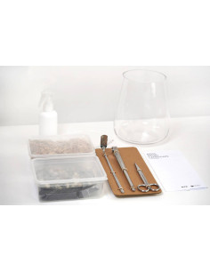 ONF - Moss Micro Landscape Set 2