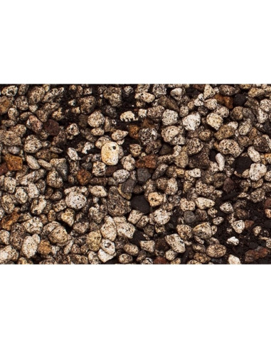 ADA Power Sand Advanced - L