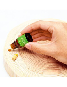 DOOA - Essential Oil Rain Forest 2ml 2