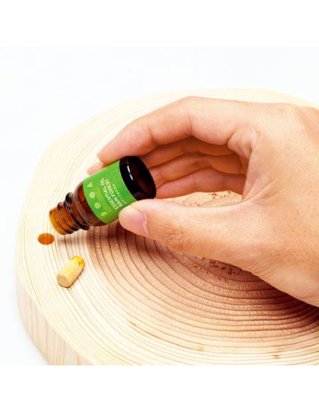 DOOA - Essential Oil Rain Forest 2ml