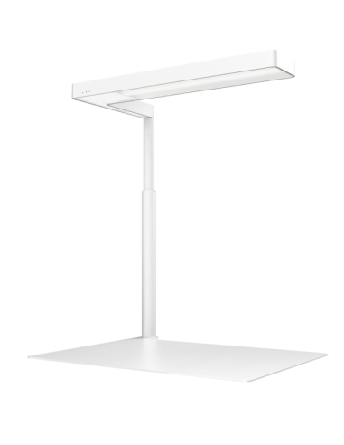 ONF - Flat Nano+ Blanc (Avec Stand)