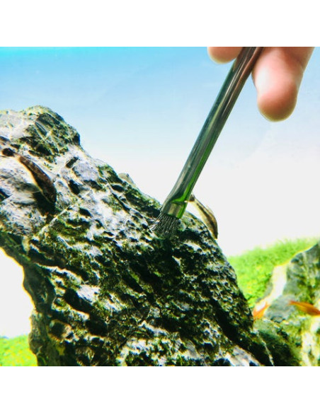 ADA - Pro-Brush Hard