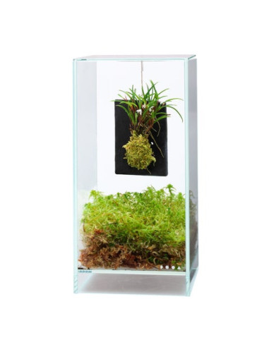 DOOA Terra Plate Hook