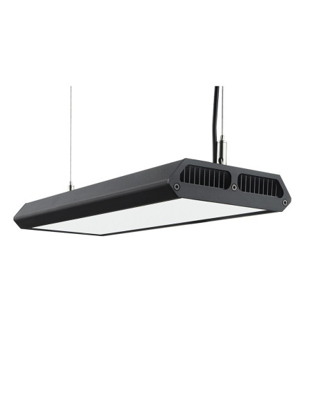 Chihiros - Vivid II Noir