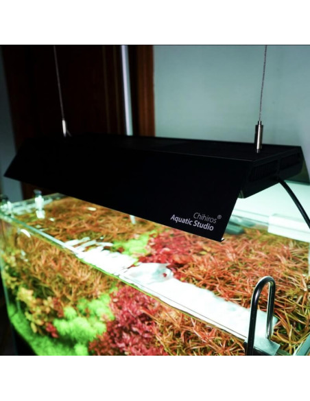 Chihiros - Shade pour Vivid II