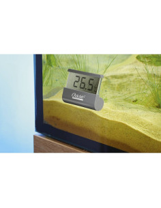 Oase - Thermomètre Digital 2