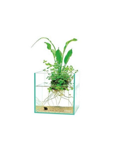 DOOA - WABI-KUSA Hanger S (H30mm) 2