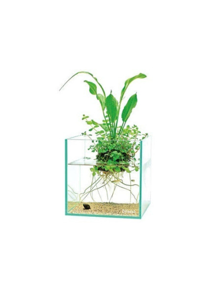 DOOA - WABI-KUSA Hanger S (H30mm)