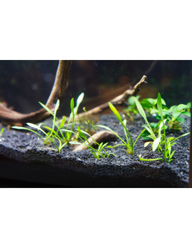 Seachem - flourite black sand 3.5kg