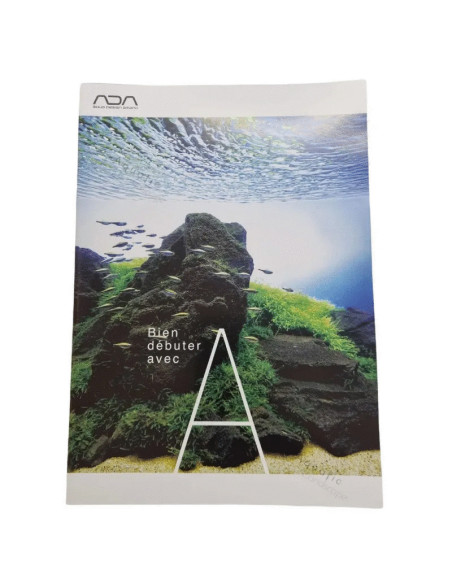 ADA - Bien débuter en Français