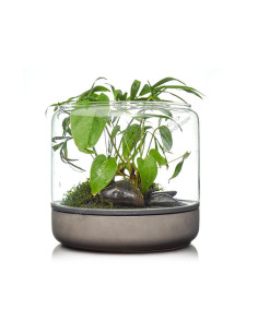 Botanica -  Sanctuary M Temperate Concrete