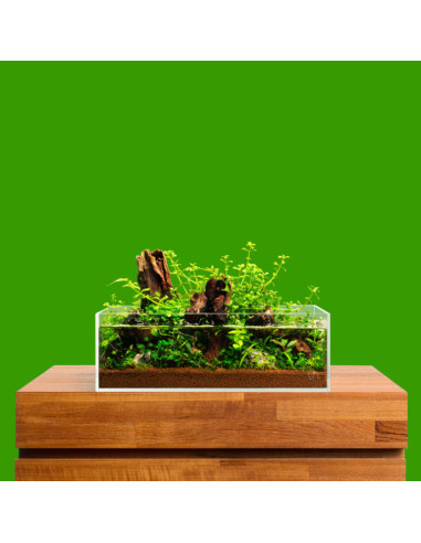 UNS - Aquarium 60S ( 60*36*18cm/5mm)