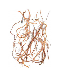 Asia Snake XS - Sachet 200g
