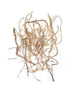 Asia Snake S - Sachet 500g